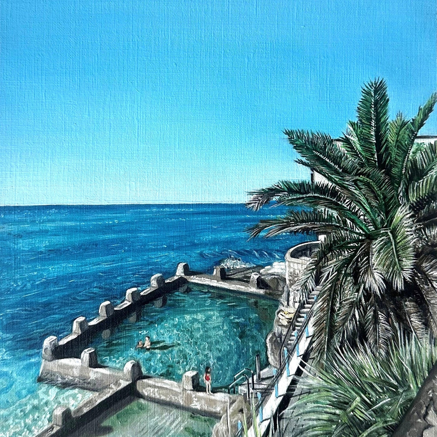 coogee ocean pool at coogee beach surf life saving club ocean palm tree sydney
