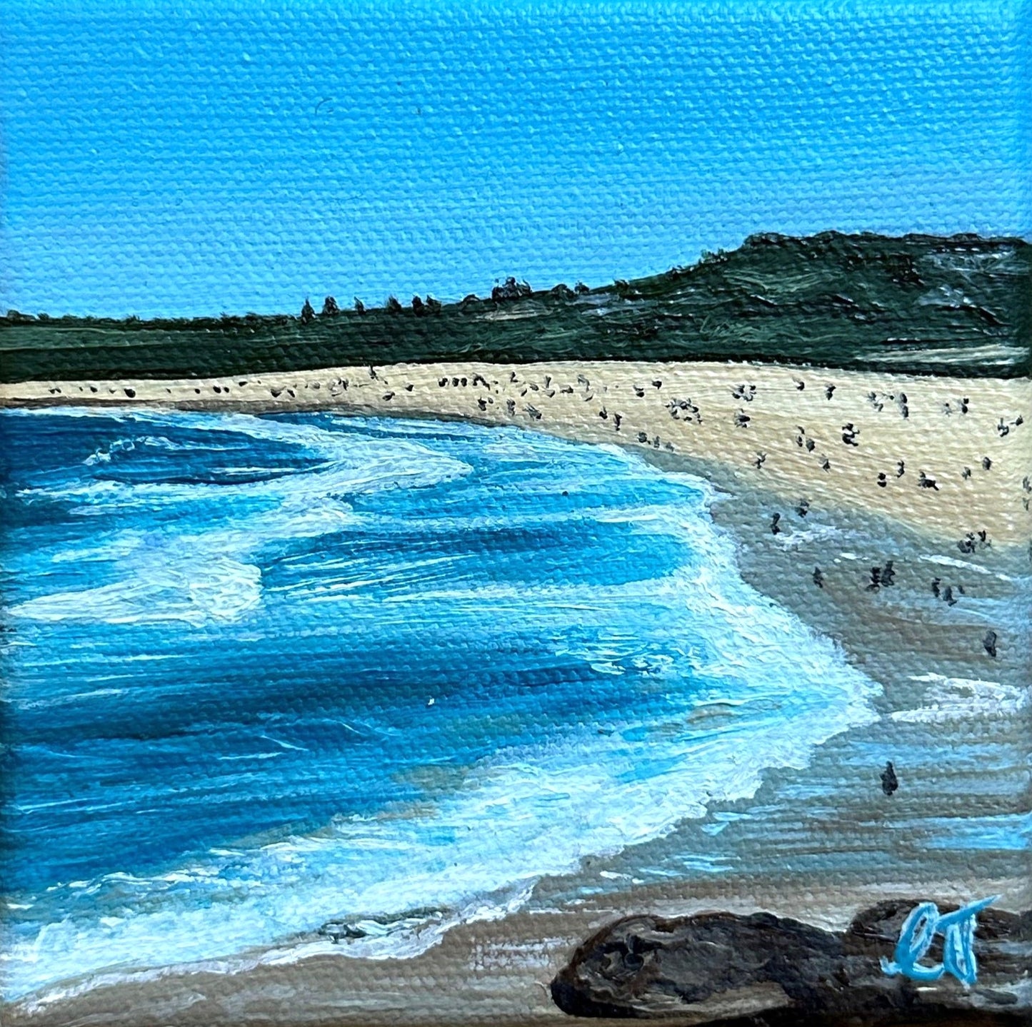 Miniature oil painting of Maroubra Beach, Sydney 